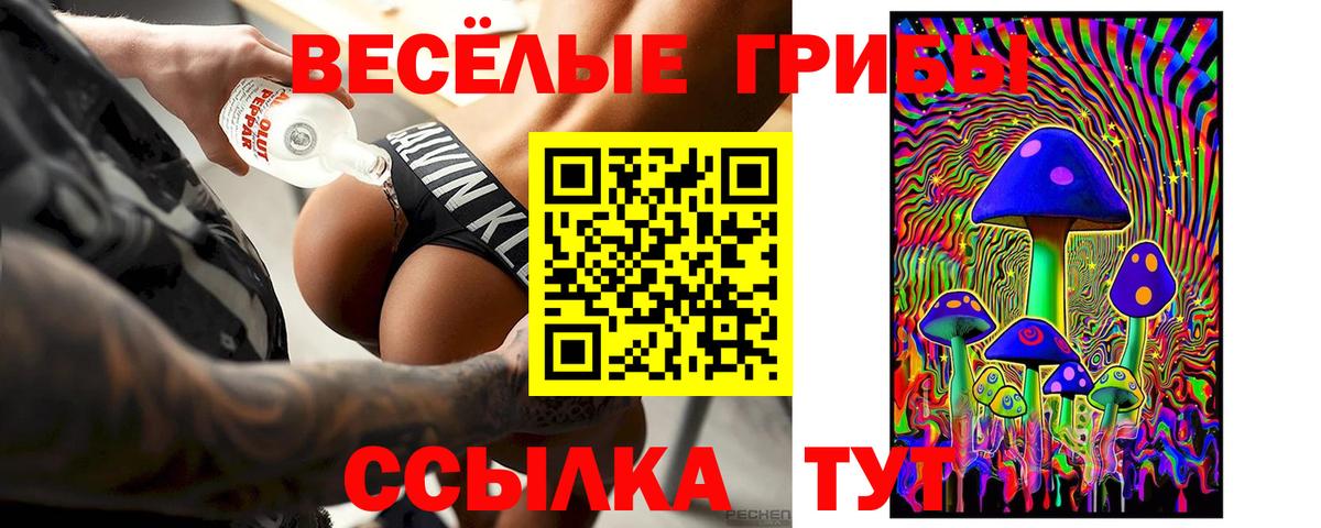 Псилоцибиновые грибы Psilocybe Муром